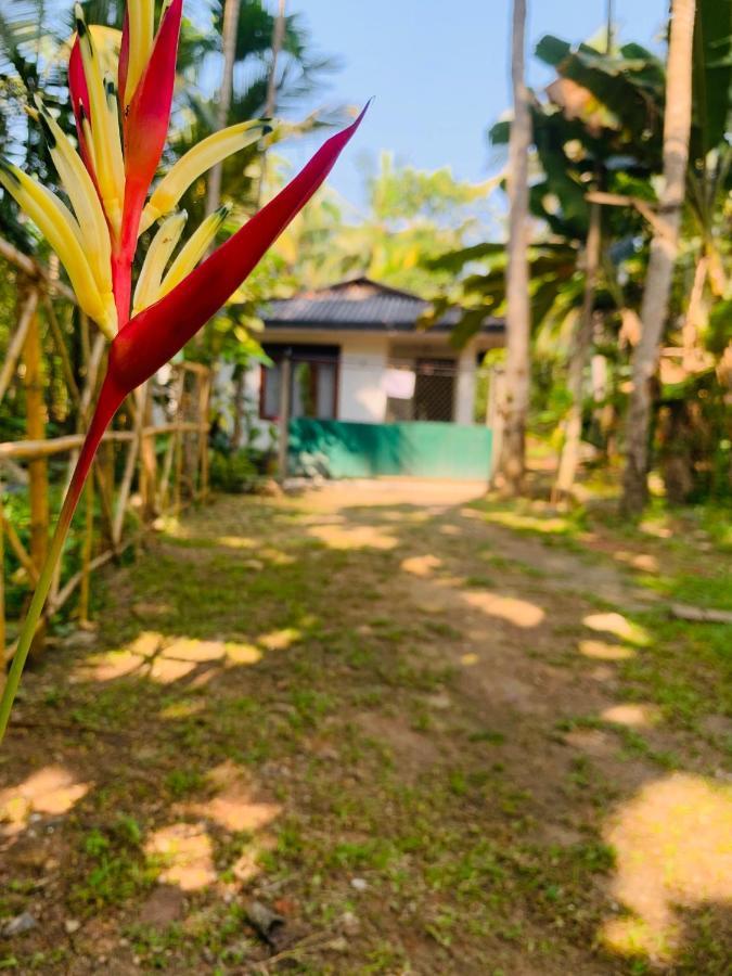 White Heaven Villa Unawatuna Esterno foto